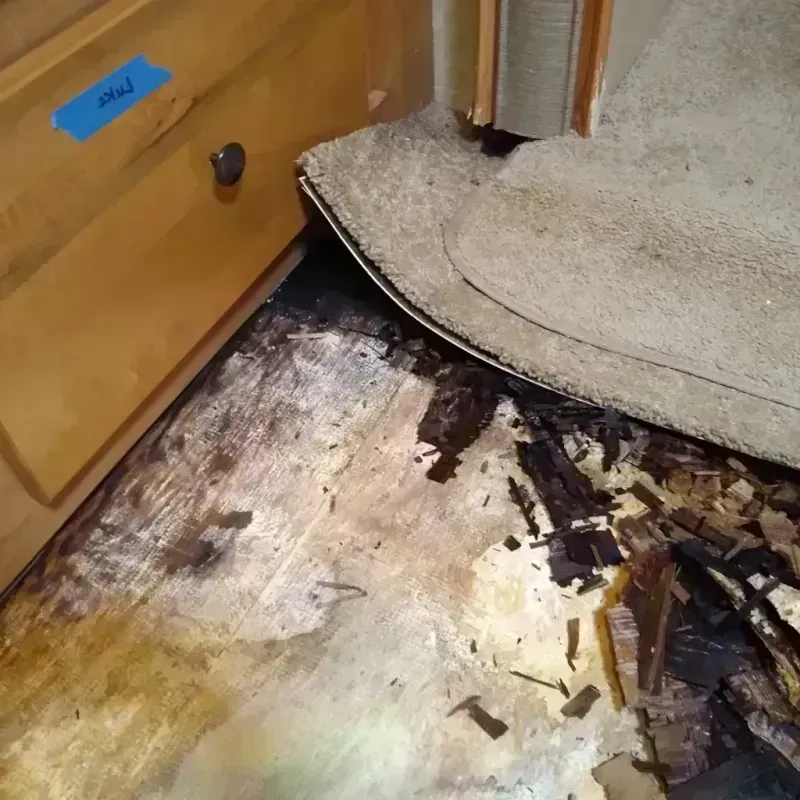 Best Wood Floor Water Damage Service in West Dundee, IL